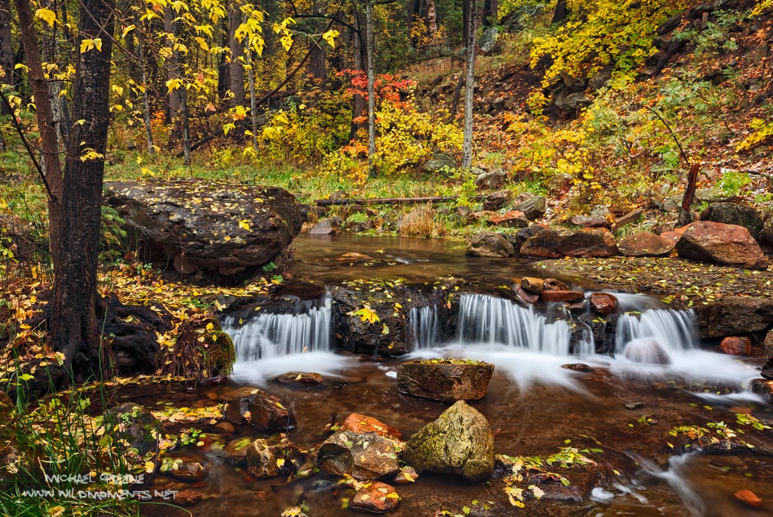 Greene_AZ_Horton Cascades 2015