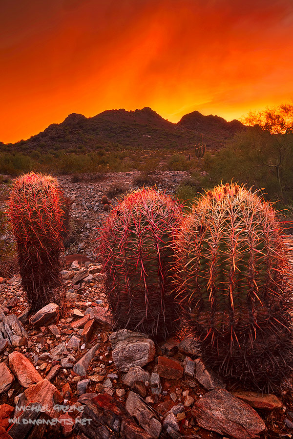 phoenix-birthday-sunset-phoenix-mountain-preserve-az-michael