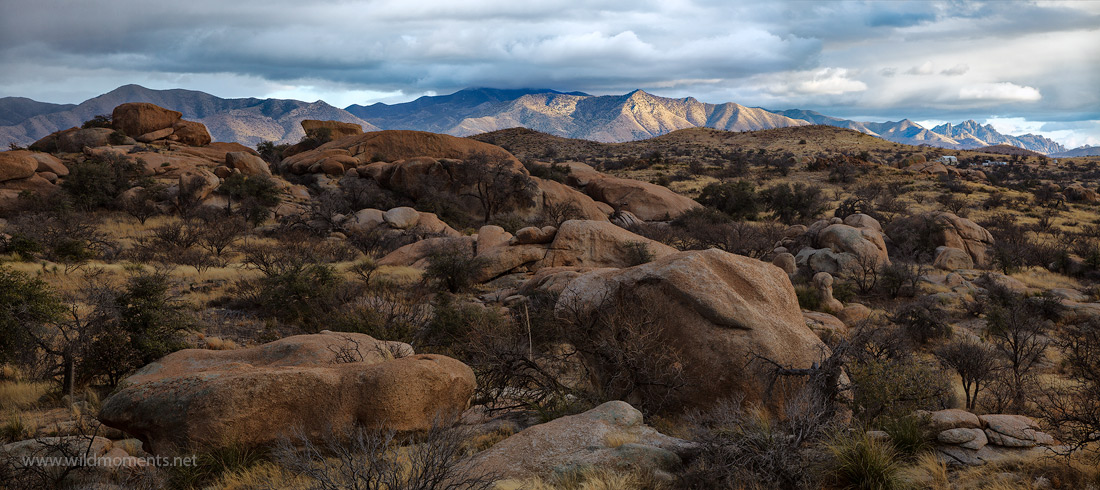 Spirit of the Storm : Texas Canyon, Arizona : Michael Greene's Wild ...