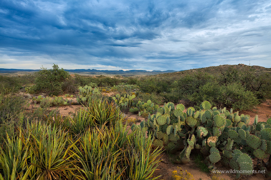 The Forgotten Sojourn : Agua Fria National Monument, AZ : Michael ...