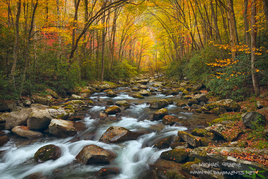 The Never Ending Journey | Great Smoky Mountains National Park, North ...